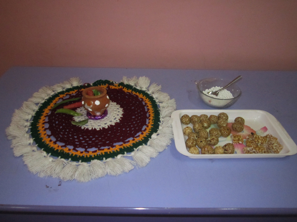 makarsakranti2013-14-1