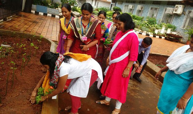 tree-plantation-1-620×366