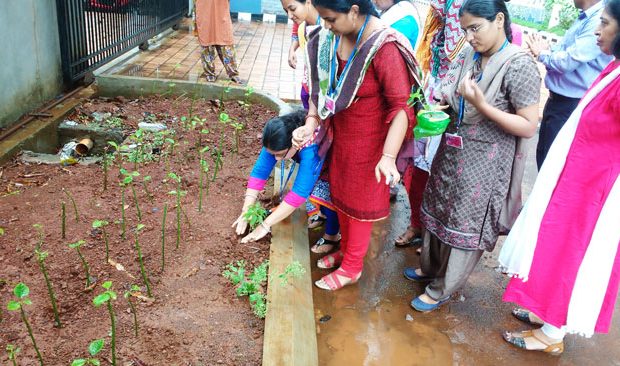 tree-plantation-2-620×366