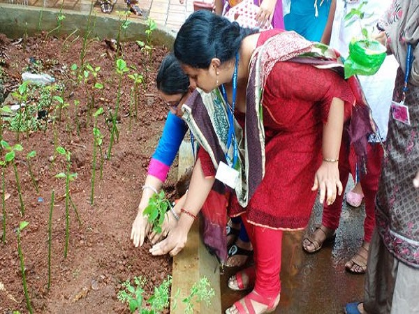 tree-plantation-3