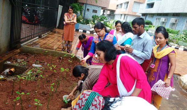 tree-plantation-4-620×366