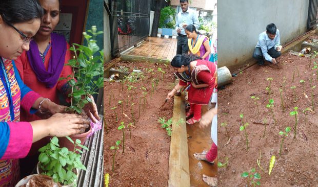 tree-plantation-6-620×366